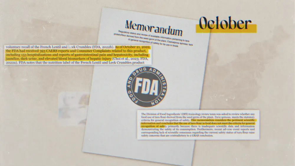 Vox Style Motion Graphics Frames