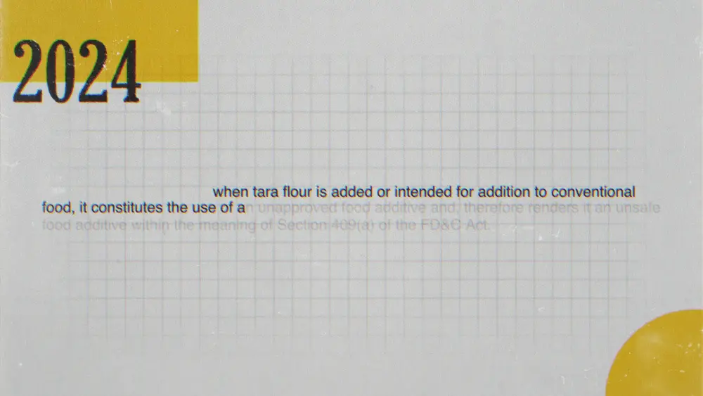 Vox Style Motion Graphics Frames